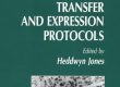 Plant Gene Transfer and Expression Protocols