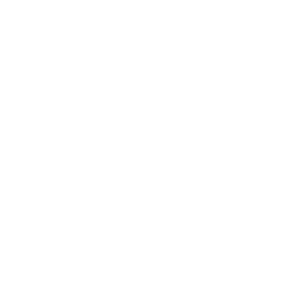 White shopping cart icon image, that links to the order page